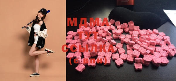ешки Алексин