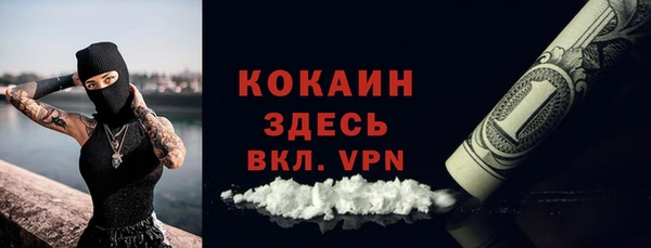 ешки Алексин