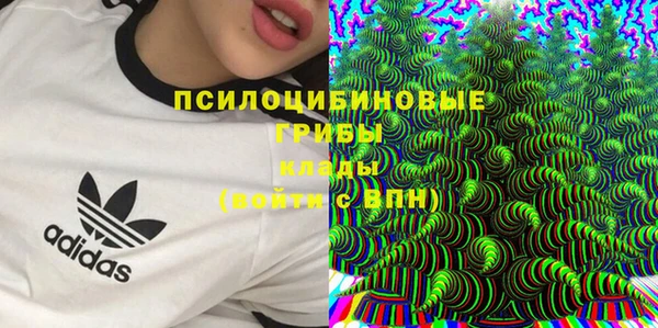 ешки Алексин