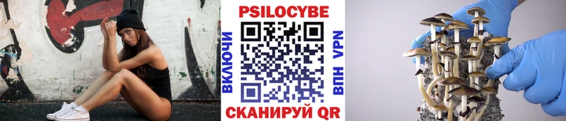 Галлюциногенные грибы мицелий  Шахты 