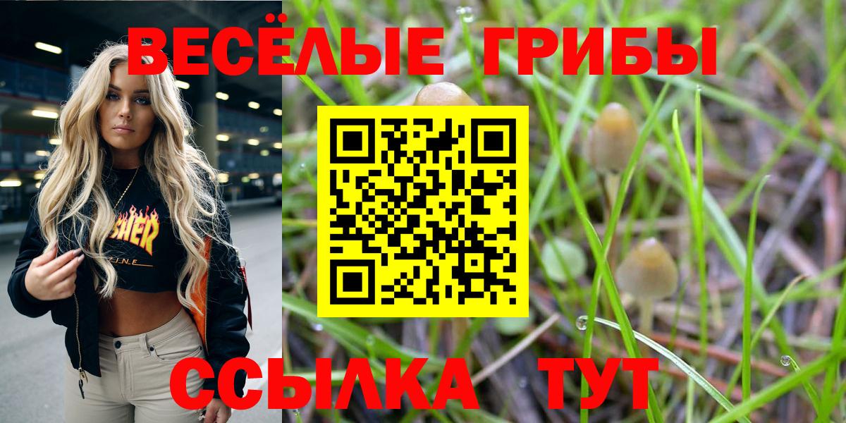 Шахты  Псилоцибиновые грибы мицелий  Вход с VPN  Галлюциногенные грибы ЛСД 