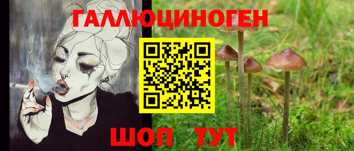 Псилоцибиновые грибы MAGIC MUSHROOMS Шахты